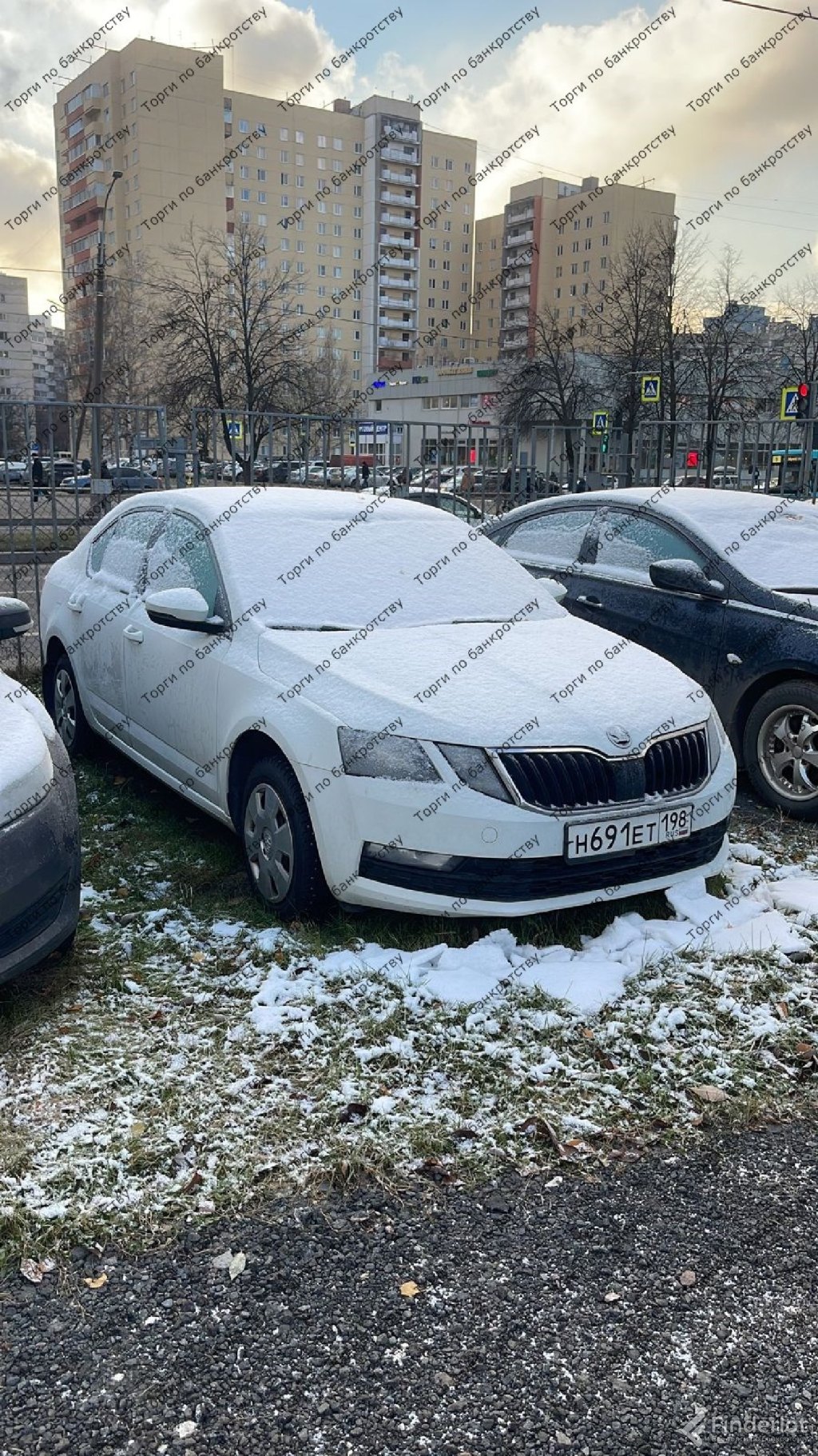 Купить автомобиль skoda octavia, год выпуска 2020 | Санкт-Петербург