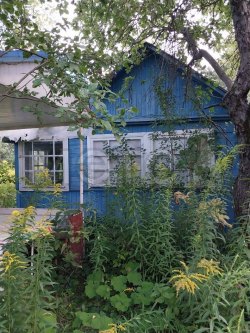 Нежилое здание – садовый домик и земельный участок