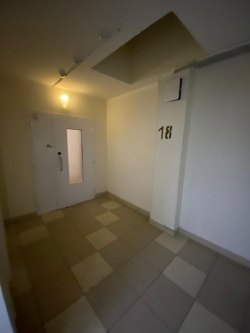 Квартира, расположенная по адресу: Санкт-Петербург, Муринская дорога, д. 78, литер А, кв. 202…