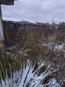 Открытые торги в форме аукциона с открытой формой представления предложения о цене по продаже…