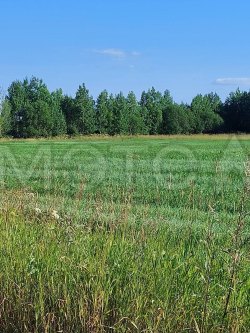 2/3 доли в долевой собственности на земельный участок, кадастровый ном. 11:04:0401001:6982