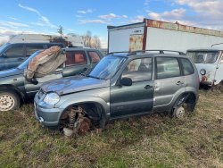 Легковой CHEVROLET NIVA 212300-55, 1шт.