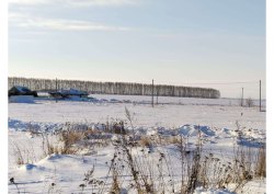 1/3 доля в праве на земельный участок, площадь: 2 000 кв.м., адрес (местонахождение): Рязанская…