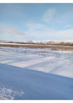 1/5 доля в праве на земельный участок, площадь: 2 400 кв.м., адрес (местонахождение): Республика…