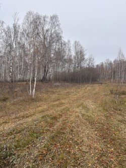 Земельный участок, общей площадью 1 148 кв. м, расположенный по адресу: Челябинская обл, Сосновский…