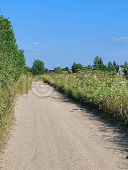 2/3 доли в долевой собственности на земельный участок, кадастровый ном. 11:04:0401001:6984