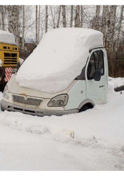 ГАЗ 2747-0000010 01, 2010 года выпуска