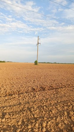 Земельный участок, площадь 500 кв.м., назначение: земельный участок, адрес (местонахождение):…