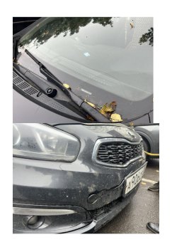 Автомобиль: марка и(или) модель: kia jd (ceed) год выпуска: 2017 идентификационный номер (vin): …