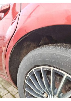 Земельный участок, площадь: 1 010 кв.м., адрес (местонахождение): Калининградская область, р-н…