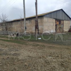 Склад ядохимикатов и рисорушка, Рисорушка на тер тока