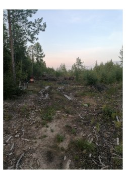 Земельный участок, площадь: 890 кв.м., адрес (местонахождение): Российская Федерация…