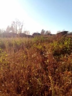 Земельный участок для ведения личного подсобного хозяйства.