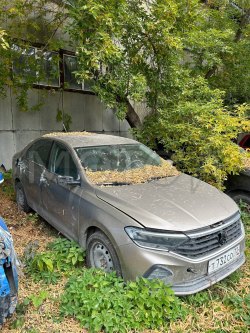 Volkswagen Polo, 2020 года, 110 лс, 97249 км.