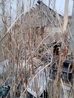 1/4 доля в праве на жилое здание, площадь: 32,4 кв.м., кадастровый номер: 56:22:0204001:110 и 1/4…