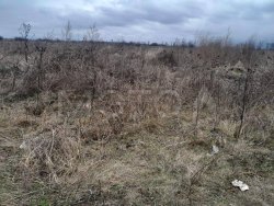 Земельный участок в Северной Осетии-Алании, 500 кв. м. 