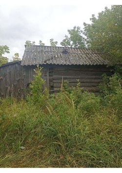 Жилое здание с кадастровым номером 43:31:320202:88; общей площадью 19 кв.м., и земельный участок с…