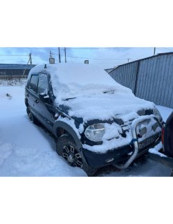 Торги по имуществу Черныш Дмитрия Григорьевича Лот № 1: 	Легковой автомобиль, марка: ШЕВРОЛЕ-НИВА…