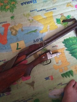 Ружьё ИЖ-26; калибр 12, серия А, № 31696