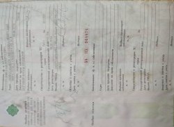 Легковой автомобиль Ниссан санни, 1998 года изготовления (Карлов Д.А.) Лот №1 Лот №1 Лот №1