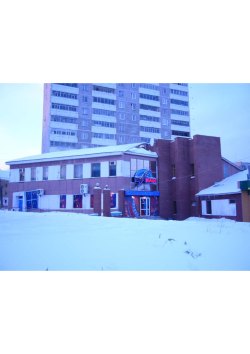 Нежилое 2-этажное здание магазина и право аренды земельного участка, Свердловская обл. г…