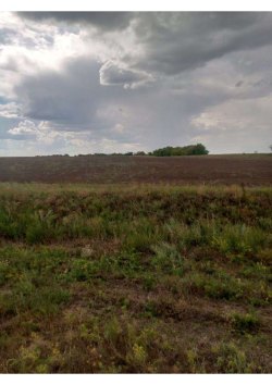 1/3 доля в праве на земельный участок, площадь: 711 000 кв.м., адрес (местонахождение): Российская…