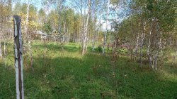 Земельный участок, кадастровый номер: 74:02:1212002:2864, вид права, доля в праве: Собственность…