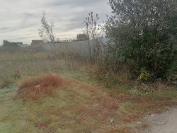 Полежаев Кирилл Андреевич земельный участок Лот №1 Лот №1