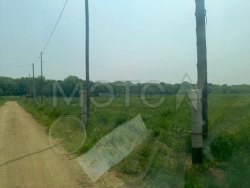 1/4 доля земельного участка в Сахалинской обл.