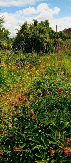 Земельный участок 500 кв.м. в Самарской обл. 