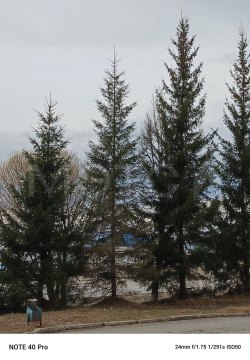 Земельный участок в Кемеровской обл. 1 500,0 кв.м.