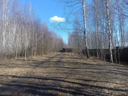 Живописнейший земельный участок на берегу Волги Кадастровый номер 52:27:0030010:1888 Виды…