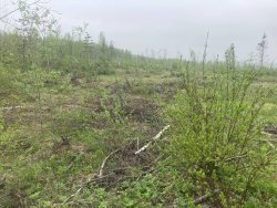 Земельный участок, площадь: 1 000 кв.м., адрес (местонахождение): Свердловская область, г…