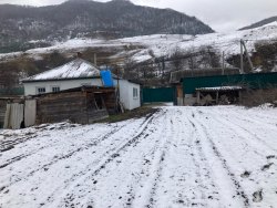 Жилой дом, площадью 56 кв. м, с кадастровым
номером 09:09:0150103:324, и Земельный участок…