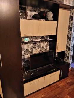 Жилое помещение (квартира), общей площадью 28,4 кв. м, расположенное по адресу: Приморский край…