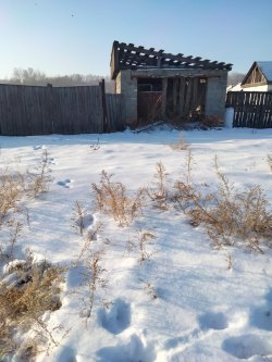 Имущество Заволожиной Л.В. (дом+зем уч)