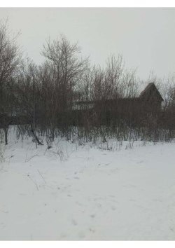 Электронные торги в форме аукциона, открытого по составу участников и по форме подачи предложений о…