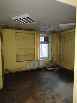 Помещение нежилое, кад номер 11:05:0106053:419, адрес Республика Коми, г.Сыктывкар, ул.Д.Каликовой…