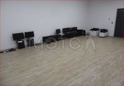 Компьютер, ноутбуки, мыши