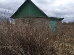 Земельный участок (дача)