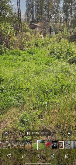 Земельный участок, кадастровый номер 74:19:1501010:248, виды разрешенного использования объекта…