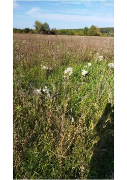 Земельный участок в Удмуртии, 800 кв.м