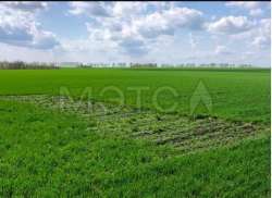 1/8 доля земельного участка в Башкортостане