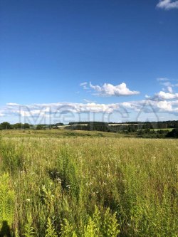 Земельный участок в Орловской обл., 2500 кв.м. 