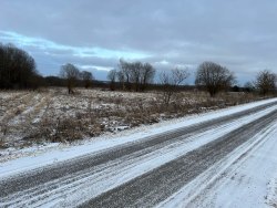 земельный участок: местоположение установлено относительно ориентира, расположенного за пределами…