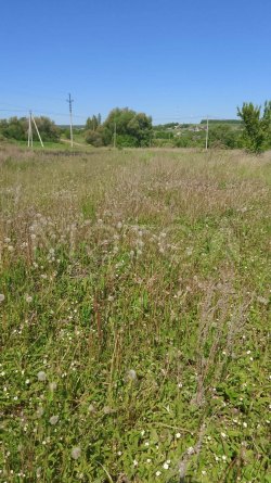 Земельный участок в Мордовии, 1400 кв.м