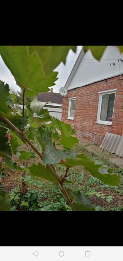 Жилой дом общей площадью 61.80 кв.м., расположенный по адресу: Россия, Краснодарский край…