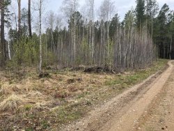 Земельный участок - 1 000 +/- 22 кв. м, адрес: Иркутская обл., Иркутский р-н, 28 км Байкальского…