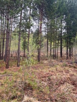 Земельный участок - 2 000 +/- 31 кв. м, адрес: Иркутская обл., Иркутский р-н, Ангарское…