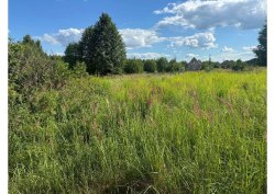 Земельный участок, площадь: 480 кв.м., адрес (местонахождение): Пермский край, г Соликамск, Сад…